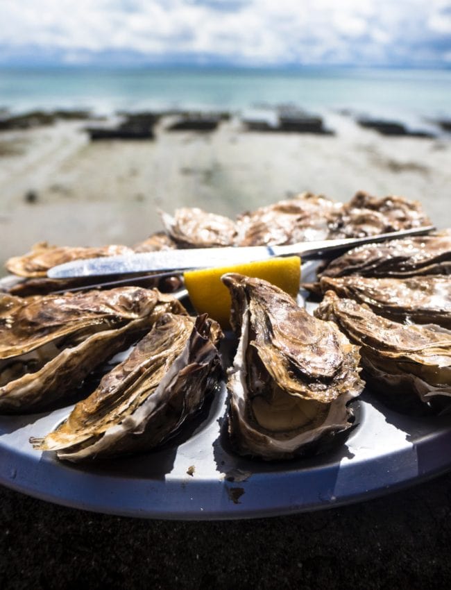 Oysters in the province of Zeeland. Oysters at The Dylan Amsterdam.