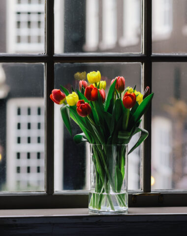 Tulips in spring at hotel The Dylan Amsterdam, a beautiful view