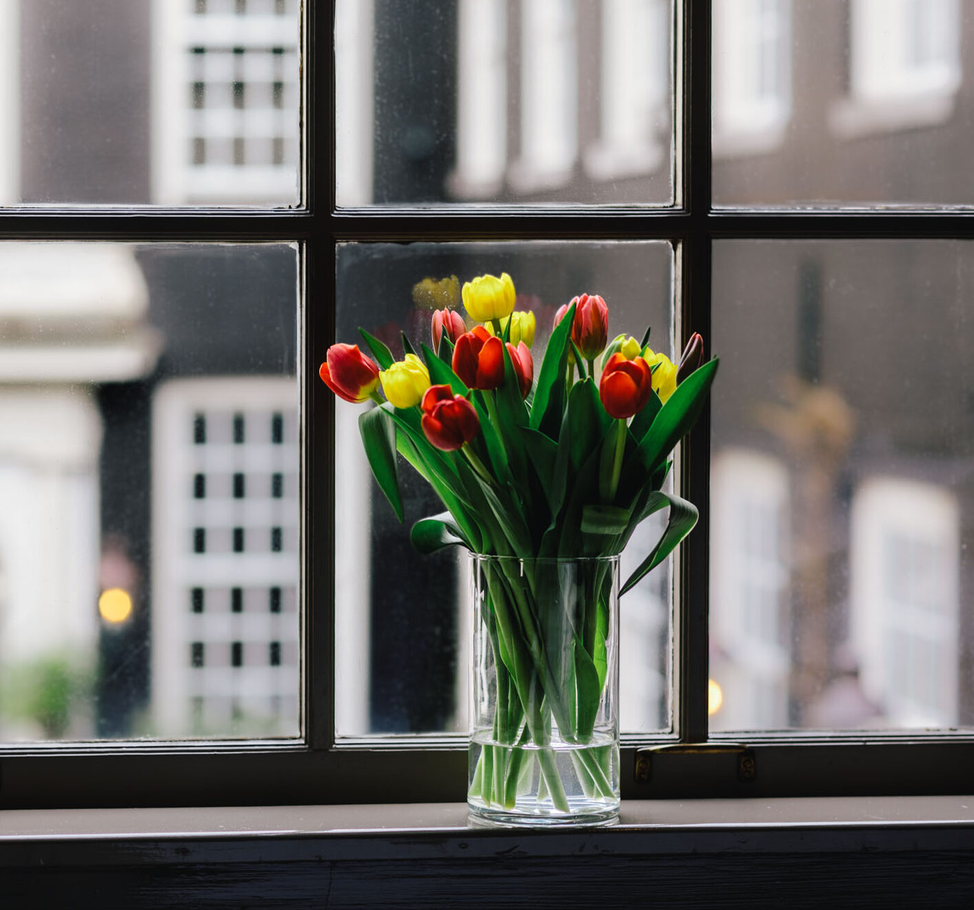 Tulips in spring at hotel The Dylan Amsterdam, a beautiful view