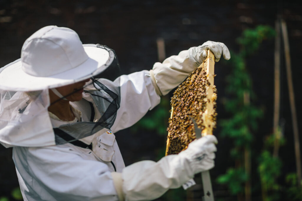 Anoushka de Graaf, beekeeper at The Dylan Amsterdam, holding a comb of honey that she just took out the beehive.