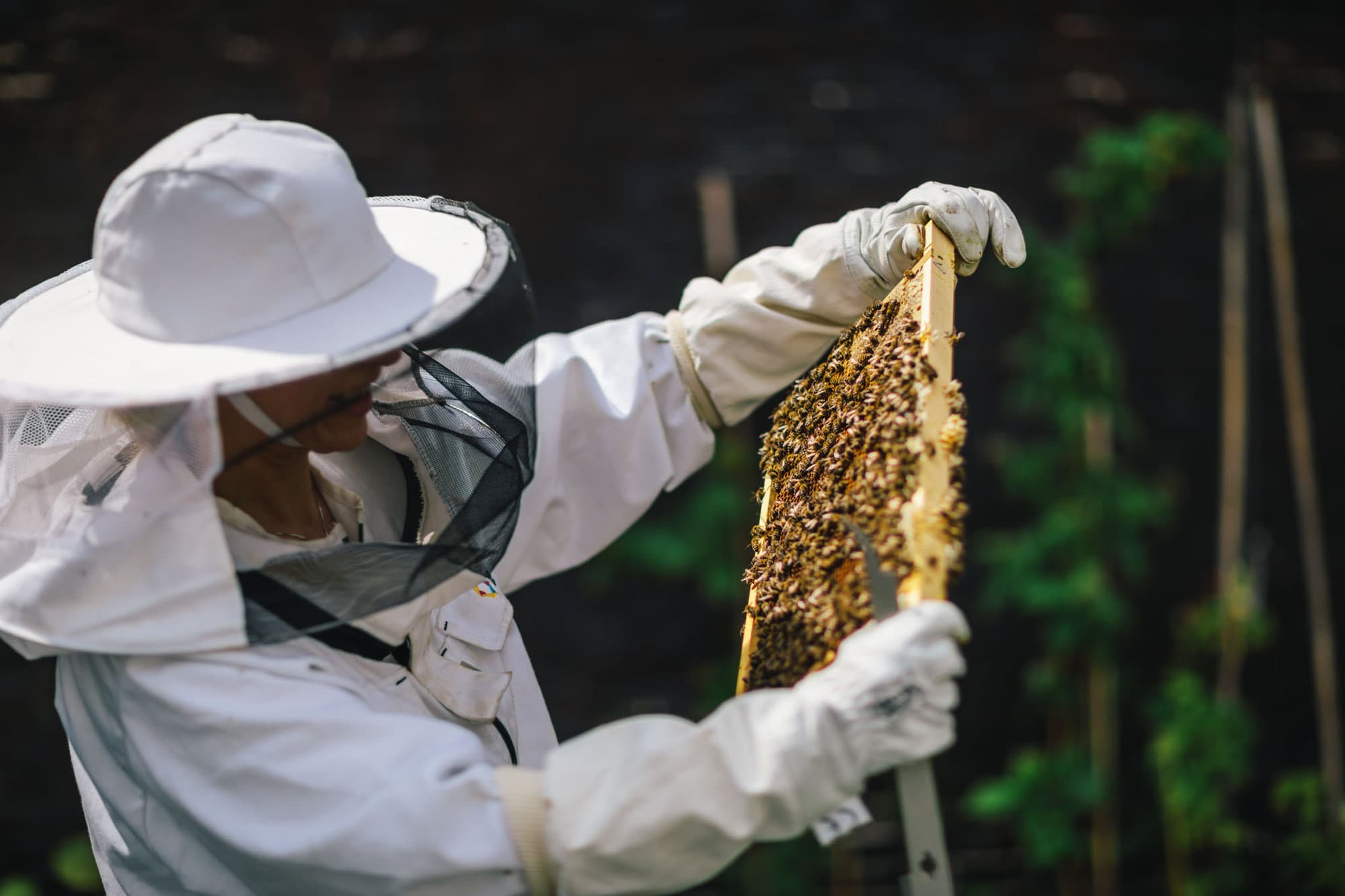 Anoushka de Graaf, beekeeper at The Dylan Amsterdam, leading hotels of the world, holding a comb of honey that she just took out the beehive.