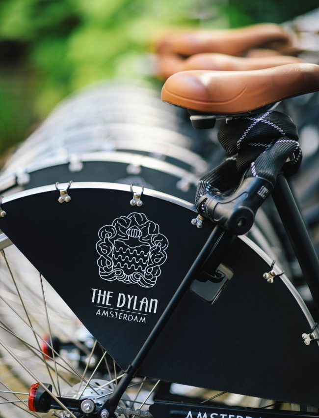 Dylan Bikes